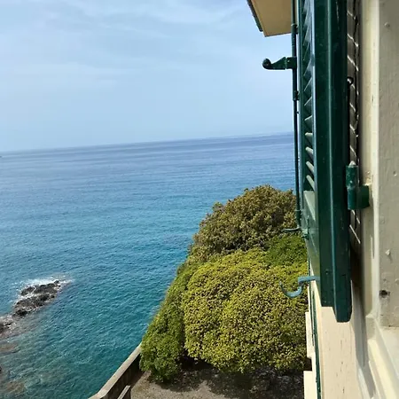 Colonna